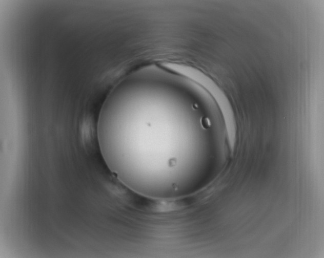 X0000114440623200910231319