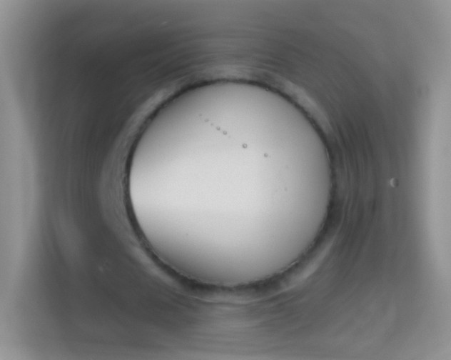 X0000114440625200910231319