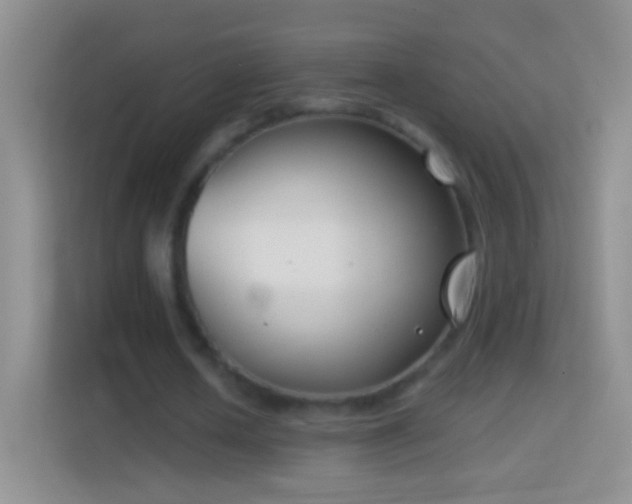 X0000114440626200910231319