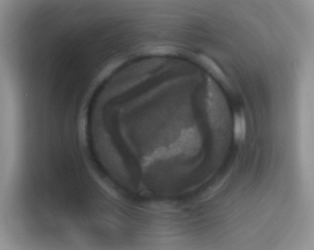 X0000114440627200910231319