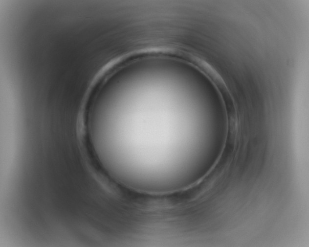 X0000114440628200910231319