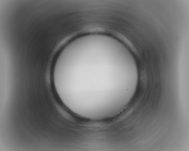 X0000114440629200910231319