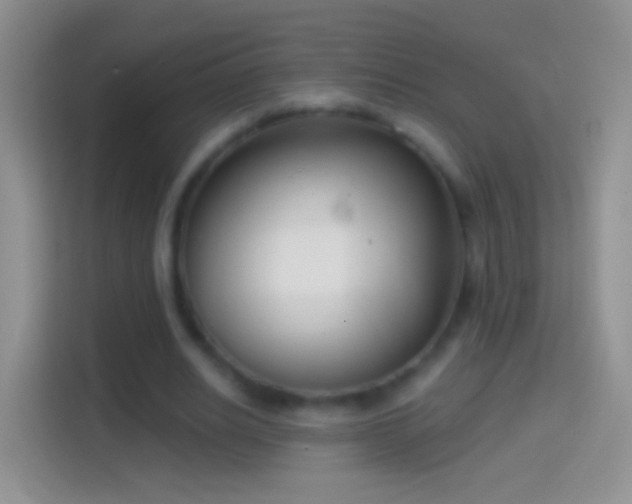 X0000114440630200910231319