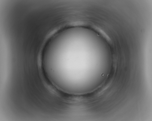 X0000114440631200910231319