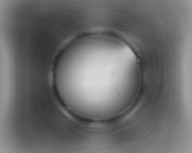 X0000114440633200910231319