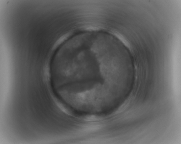 X0000114440634200910231319