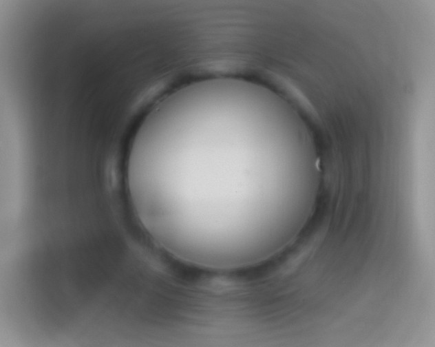 X0000114440635200910231319