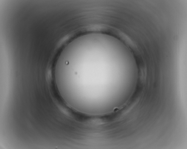 X0000114440636200910231319