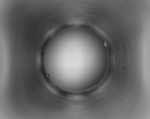 X0000114440638200910231319