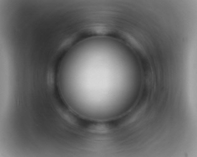 X0000114440639200910231319