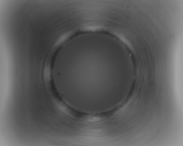 X0000114440640200910231319