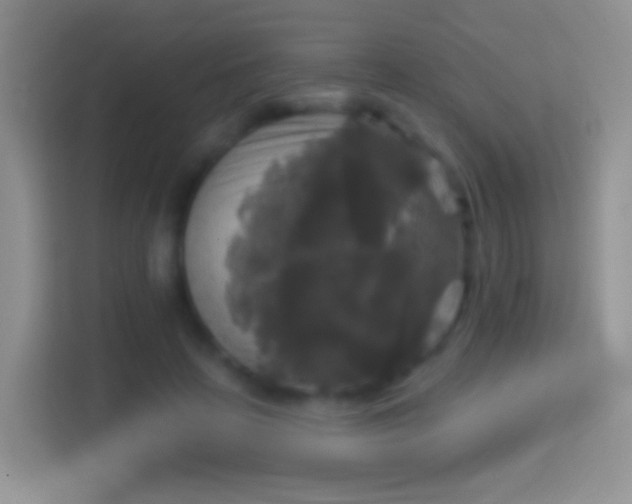 X0000114440641200910231319