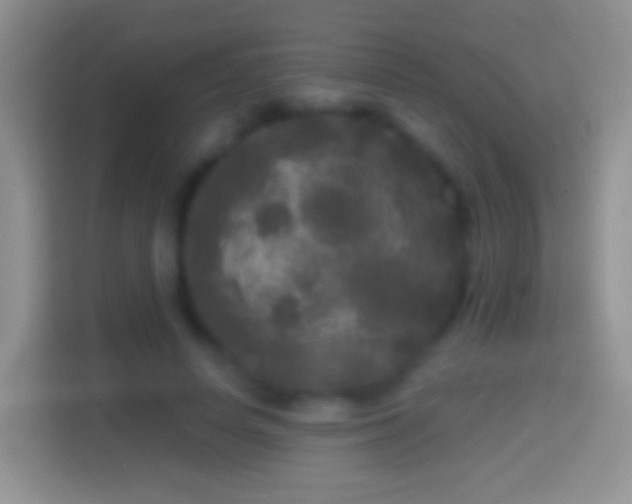 X0000114440642200910231319