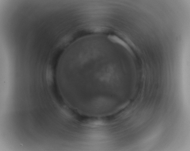 X0000114440643200910231319