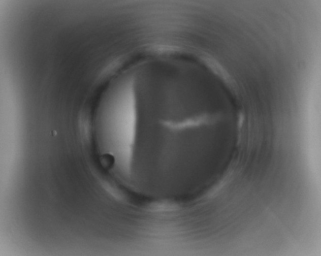 X0000114440644200910231319