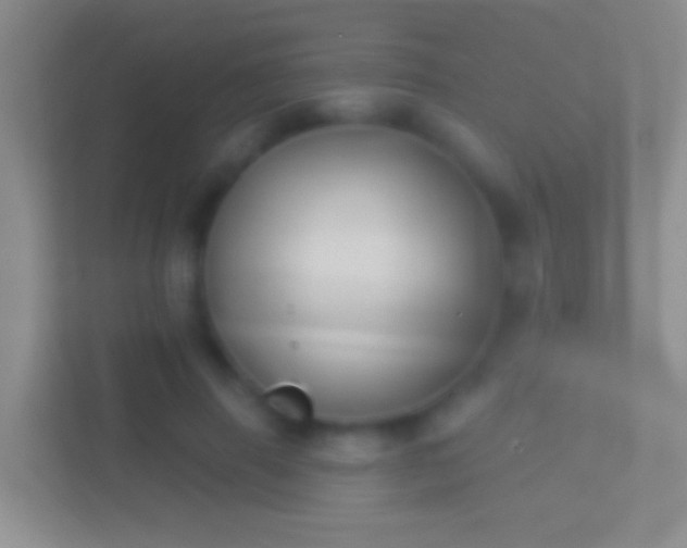 X0000114440645200910231319