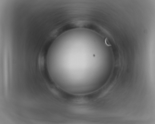 X0000114440646200910231319