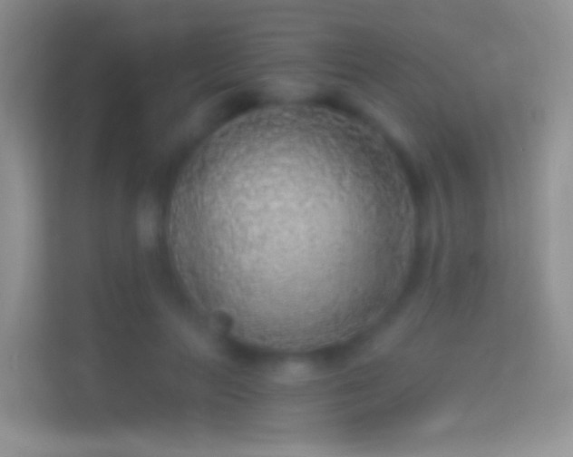 X0000114440647200910231319