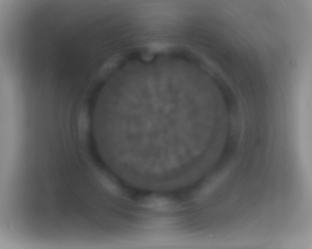 X0000114440648200910231319