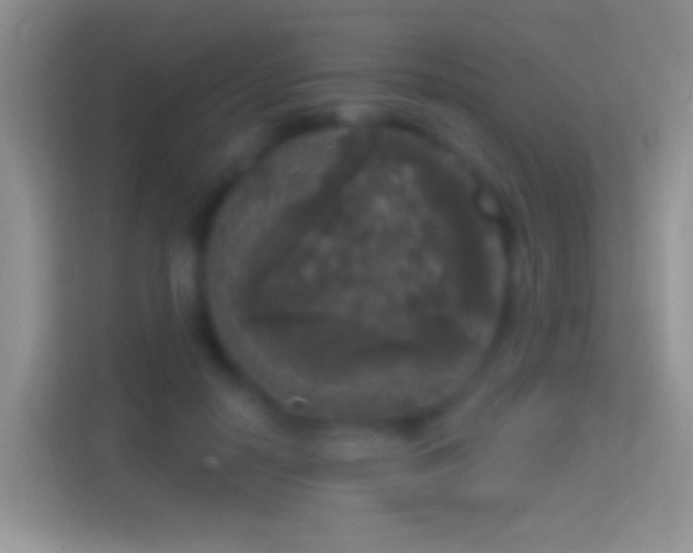 X0000114440650200910231319