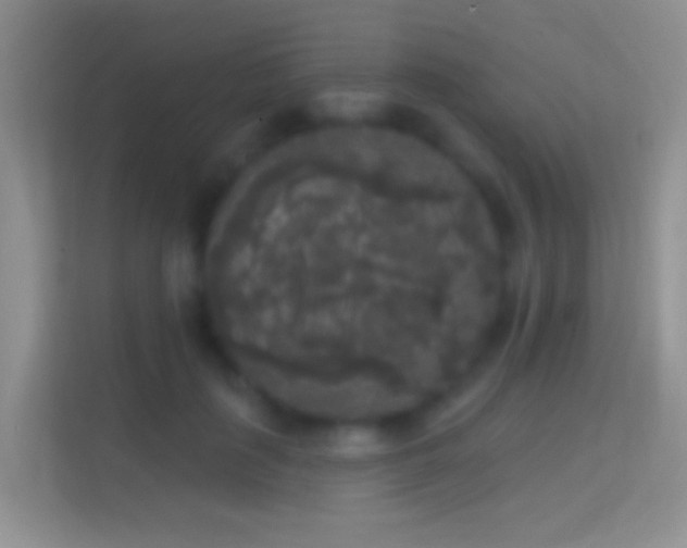 X0000114440651200910231319