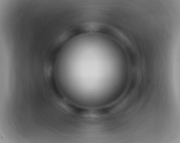 X0000114440652200910231319