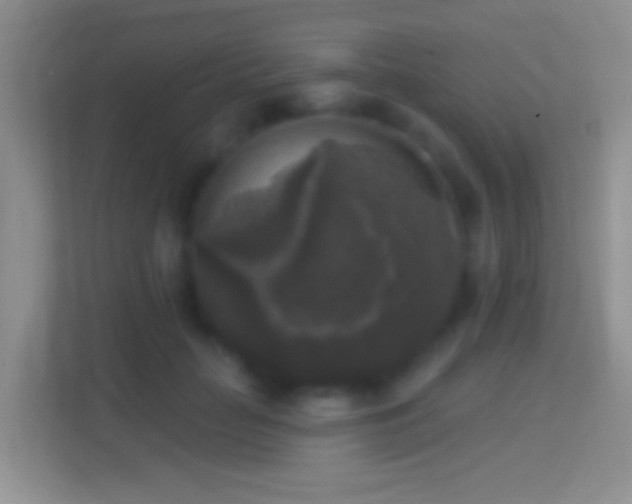 X0000114440653200910231319