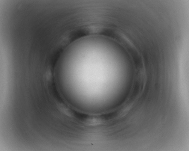 X0000114440655200910231319