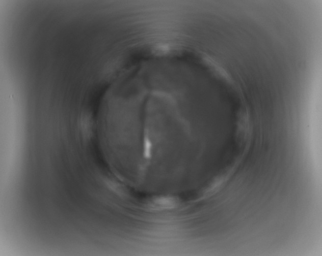 X0000114440659200910231319