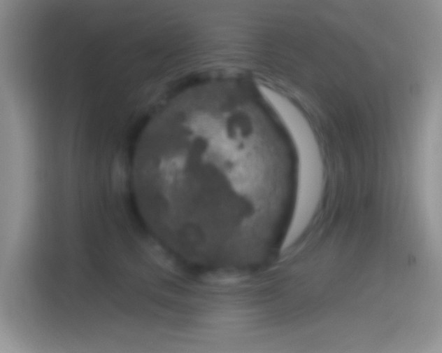 X0000114440661200910231319