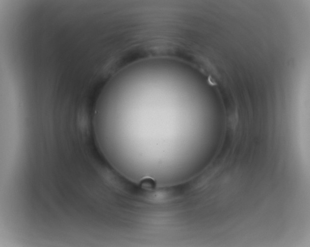 X0000114440662200910231319