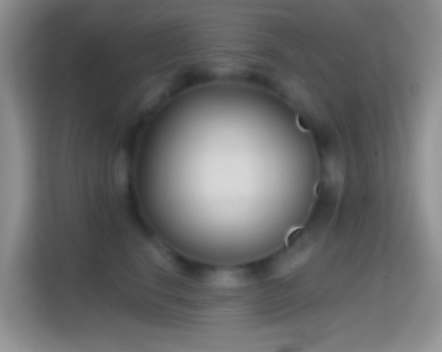 X0000114440664200910231319