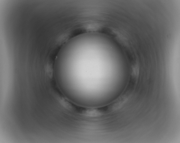 X0000114440666200910231319