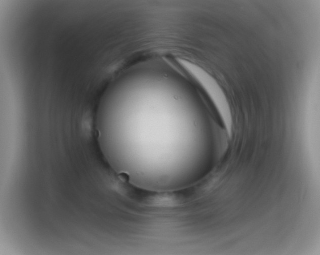 X0000114440668200910231319