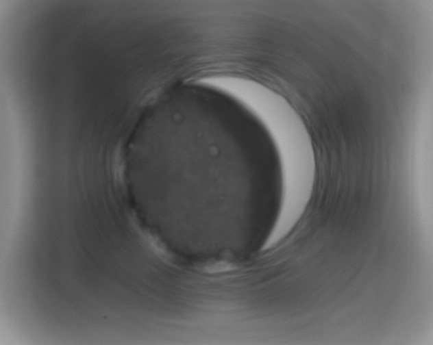 X0000114440669200910231319