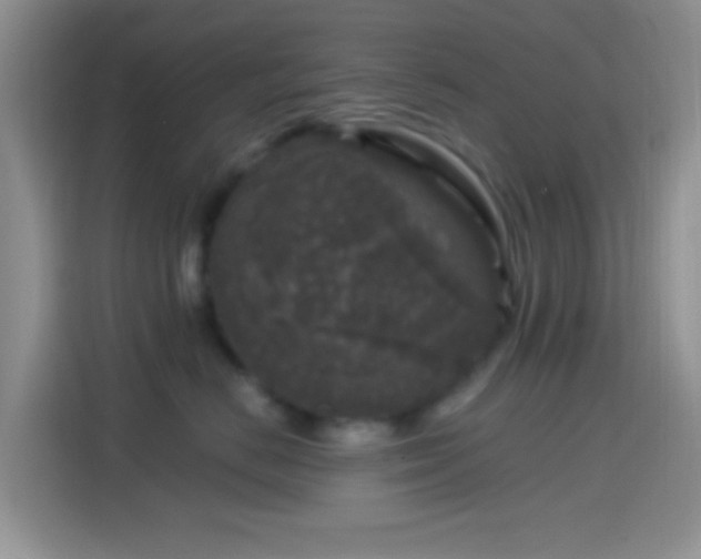 X0000114440670200910231319