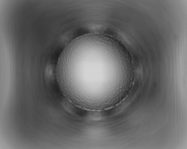 X0000114440671200910231319