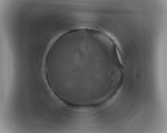 X0000114440673200910231319