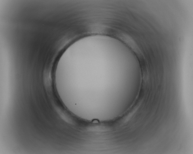 X0000114440674200910231319