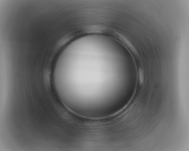 X0000114440675200910231319