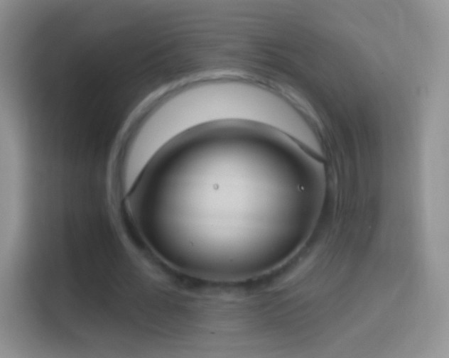 X0000114440676200910231319