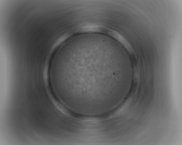 X0000114440677200910231319