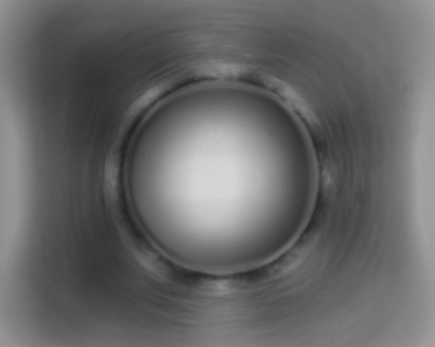 X0000114440679200910231319