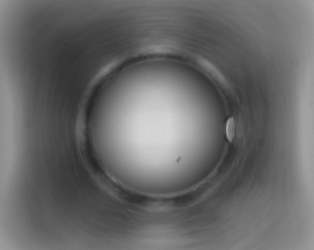 X0000114440680200910231319