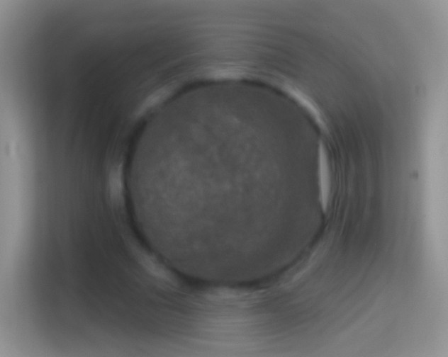 X0000114440681200910231319