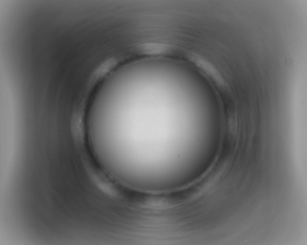 X0000114440682200910231318