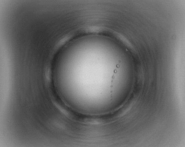 X0000114440683200910231318