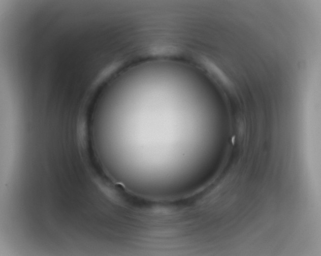 X0000114440684200910231318