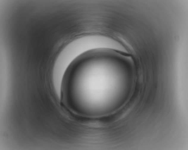 X0000114440685200910231318