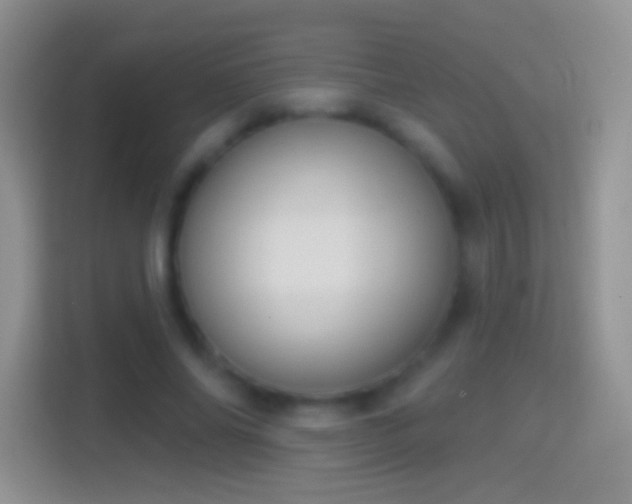 X0000114440686200910231318